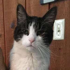 Meet your Posher, Tina